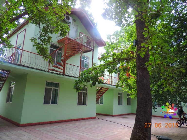 Qoşa çinar-s
