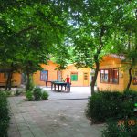 Qoşa çinar-s