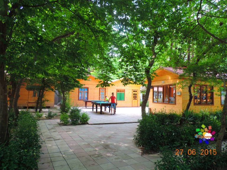Qoşa çinar-s