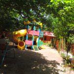 Qoşa çinar-s