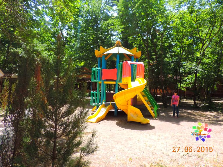 Qoşa çinar-s