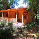 Qoşa çinar-s