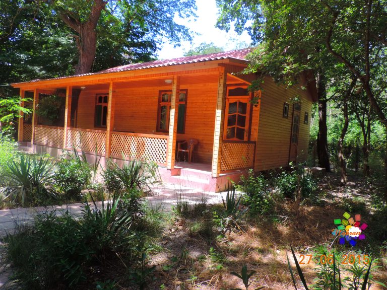 Qoşa çinar-s