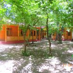 Qoşa çinar-s