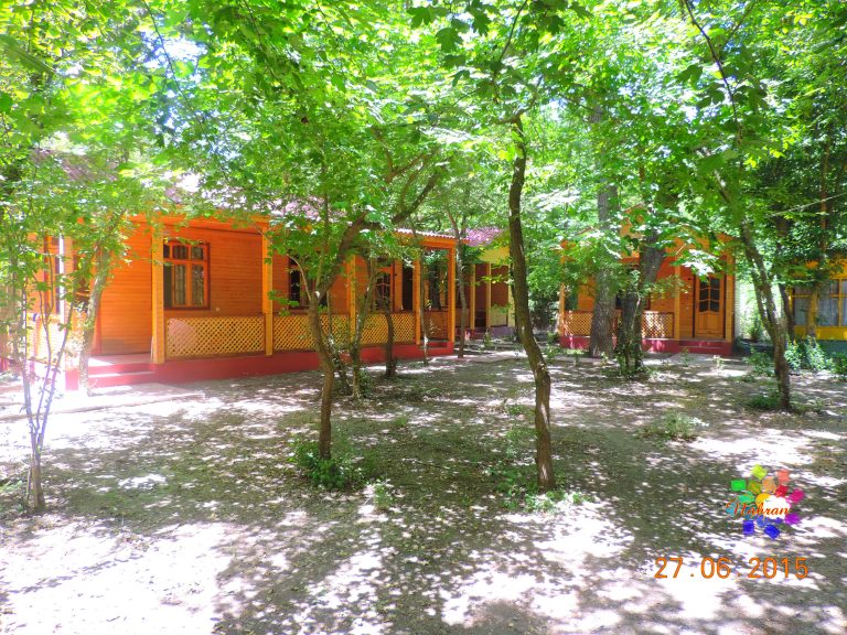 Qoşa çinar-s