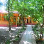 Qoşa çinar-s