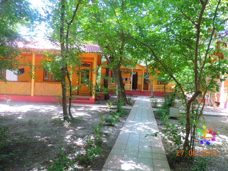 Qoşa çinar-s