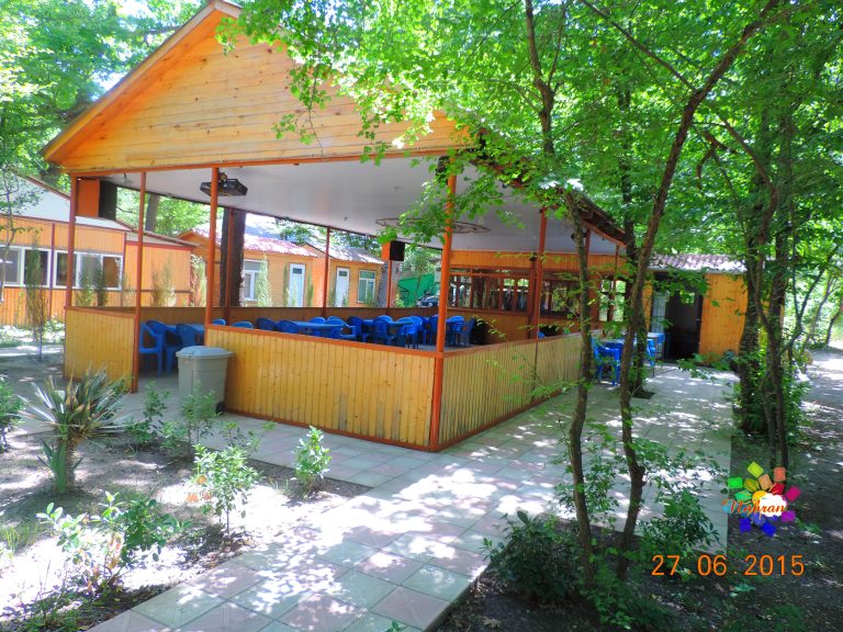 Qoşa çinar-s