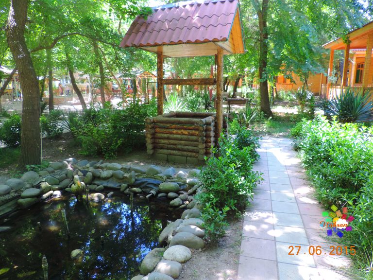 Qoşa çinar-s