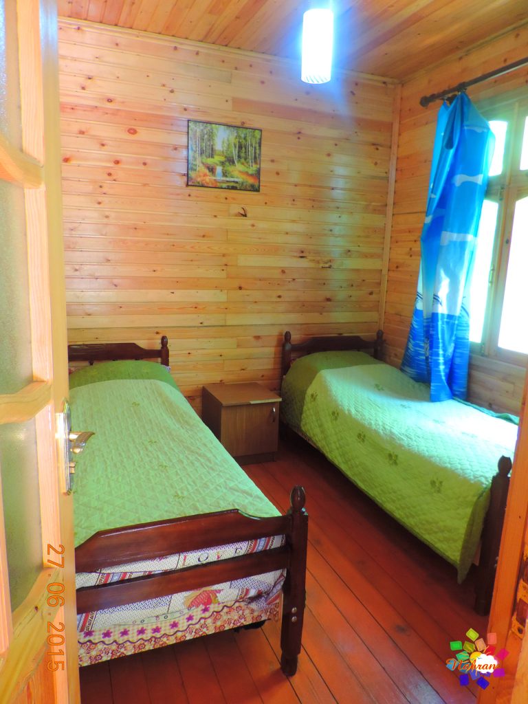 Qoşa çinar-s