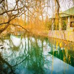 River Inn