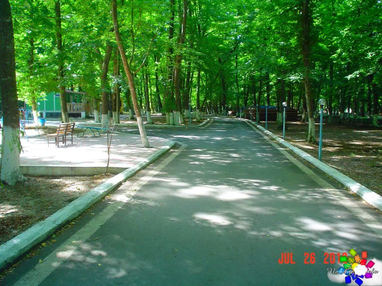 Saman Yolu