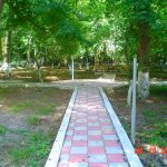 Saman Yolu