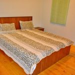 Sea Star