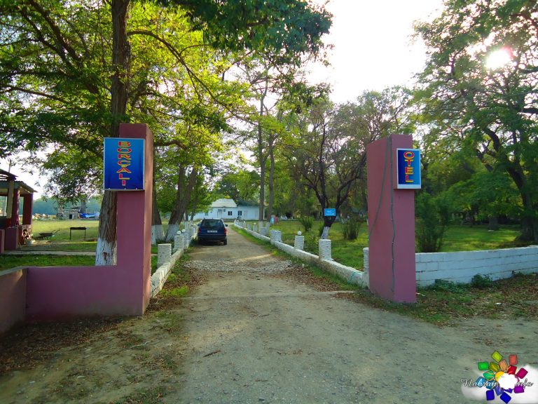 Borçali