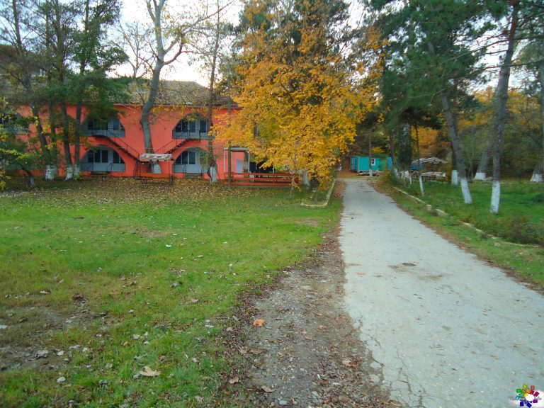 Mayak
