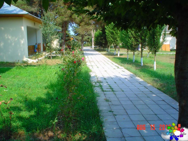 Mirvari