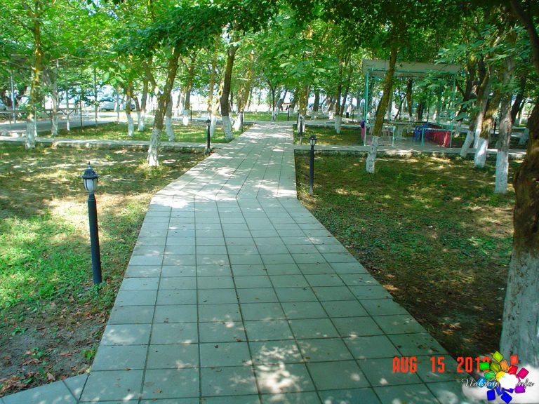 Mirvari
