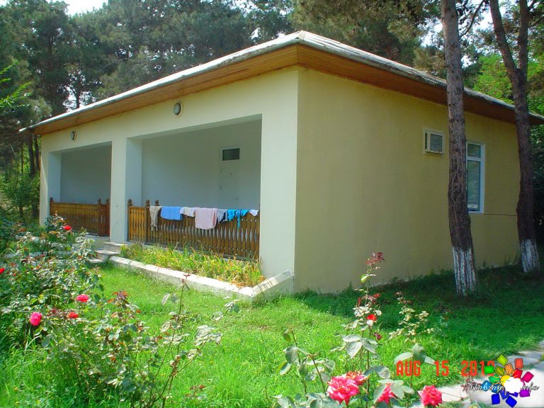 Mirvari
