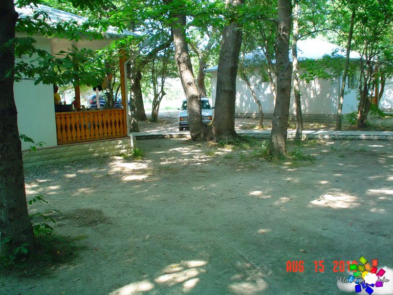 Mirvari