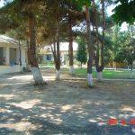 Mirvari