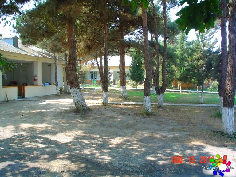 Mirvari