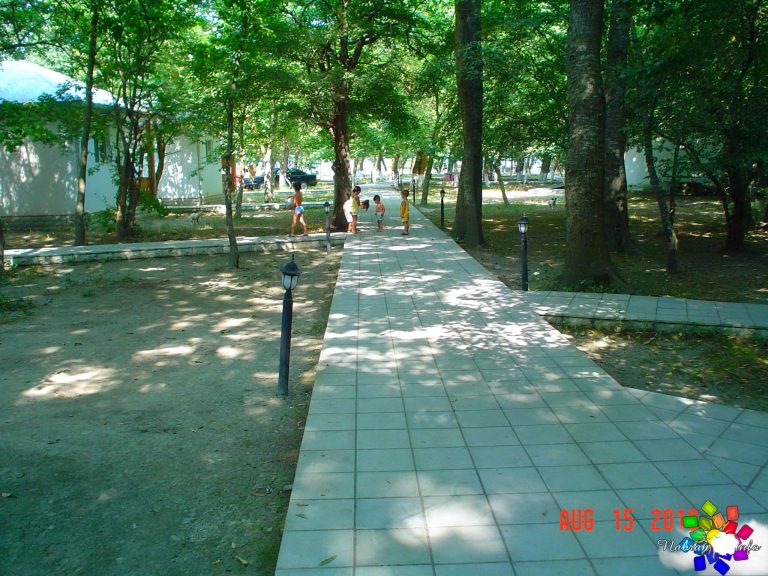 Mirvari
