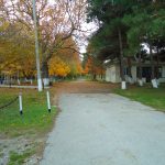 Mirvari