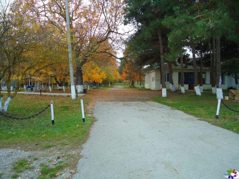 Mirvari