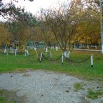 Mirvari