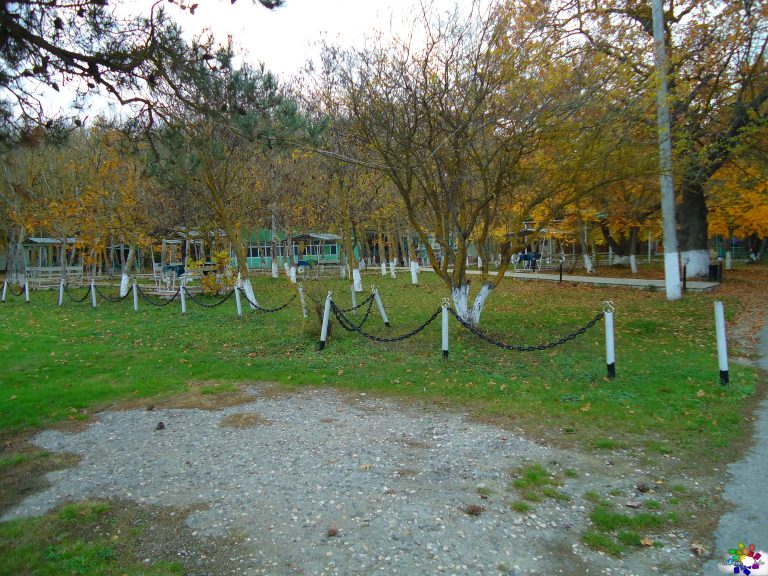 Mirvari