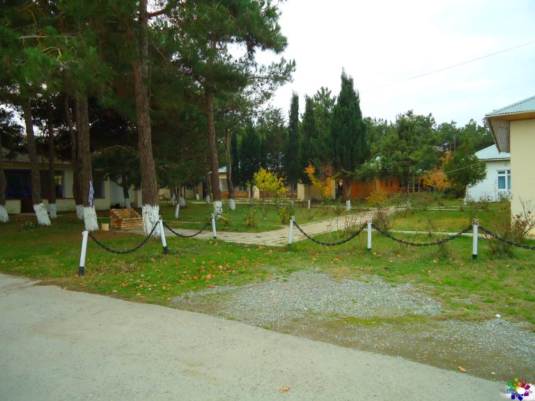 Mirvari