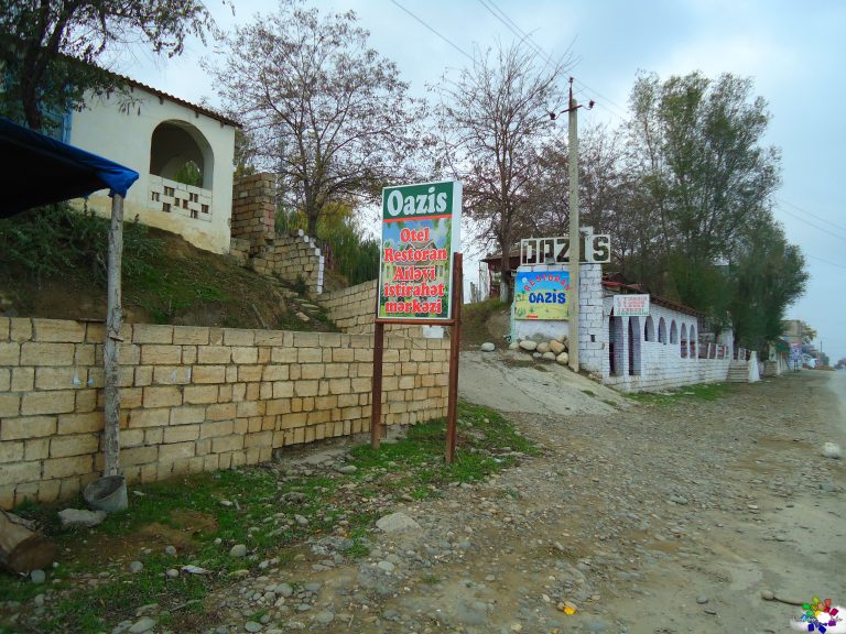 Oazis
