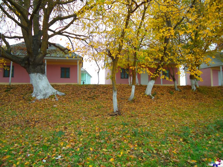 Sevdiyim Məkan