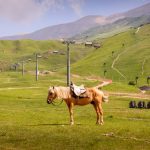 Shahdag