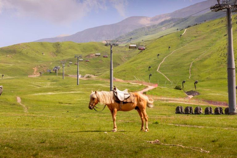 Shahdag