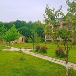 Cənnət Baği