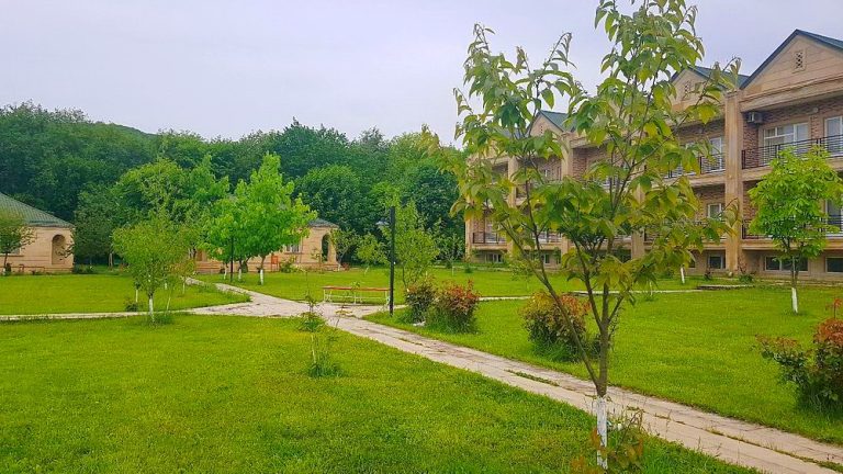 Cənnət Baği