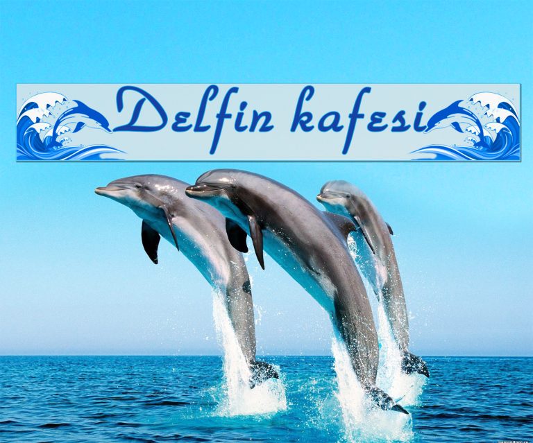 Delfin