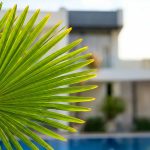 Lanai Villas Beach Side