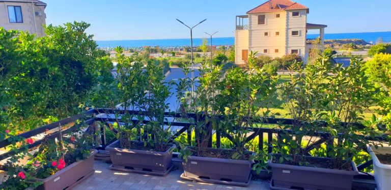 S Pollo Apartments by first beach line