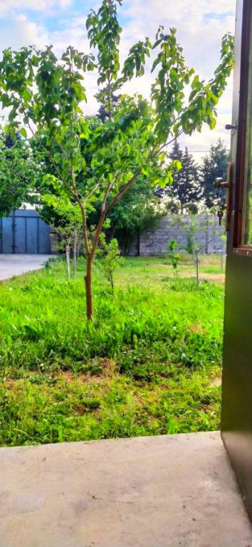 Baku Airport Apartment