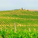 Chabiant Winery Hotel