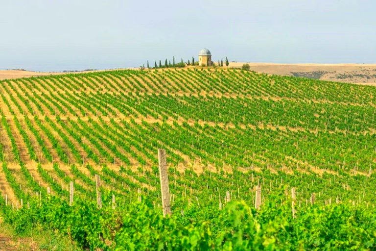 Chabiant Winery Hotel