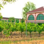 Chabiant Winery Hotel
