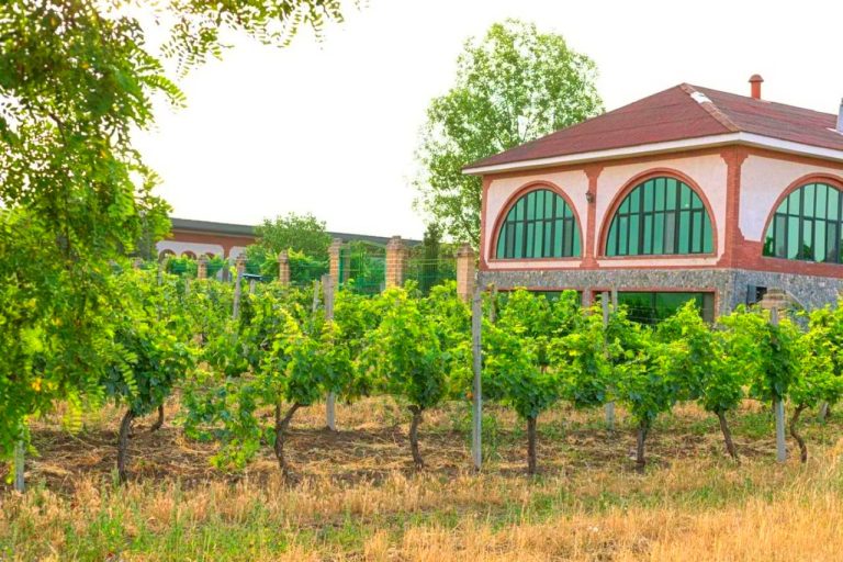 Chabiant Winery Hotel