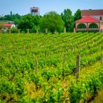 Chabiant Winery Hotel