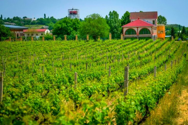Chabiant Winery Hotel