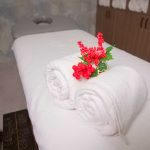 Mandarinnart HOTEL